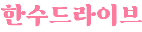 <일산 초보운전연수>